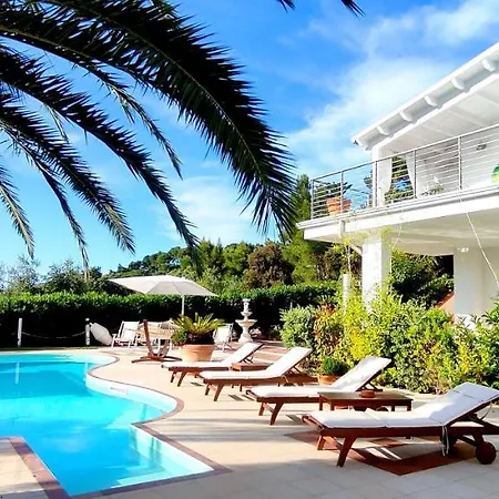 White House Bed & Breakfast