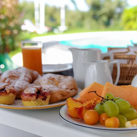 White House Bed & Breakfast