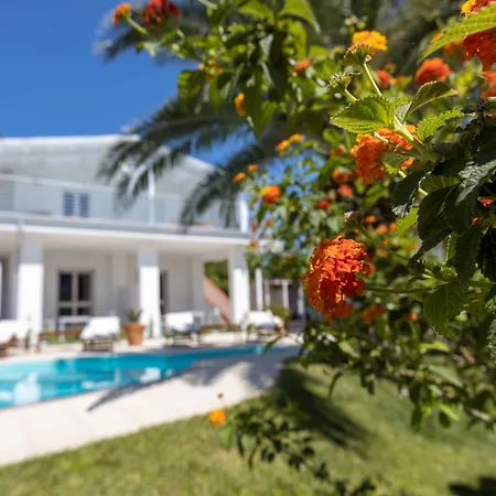 Bed & Breakfast White House