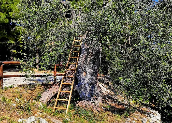 White House Panzió 4*